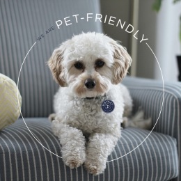 As a pet-friendly apartment community in Houston, District at Memorial offers top-notch residences, amenities and services to ensure you and your precious pet can thrive here. Instagram post from @districtatmemorial on October 09, 2024 00:00:00am
